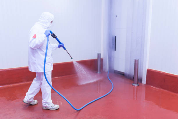 Best Dumpster Area Cleaning  in Wadsworth, IL